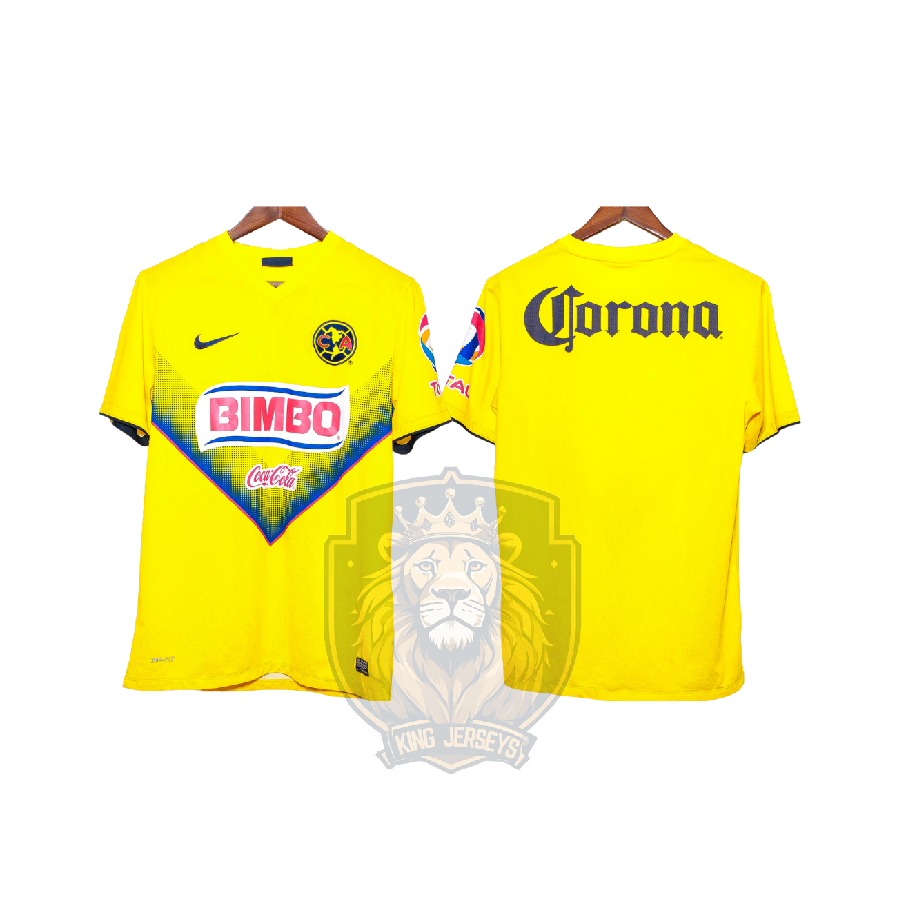 América 2013/14 local