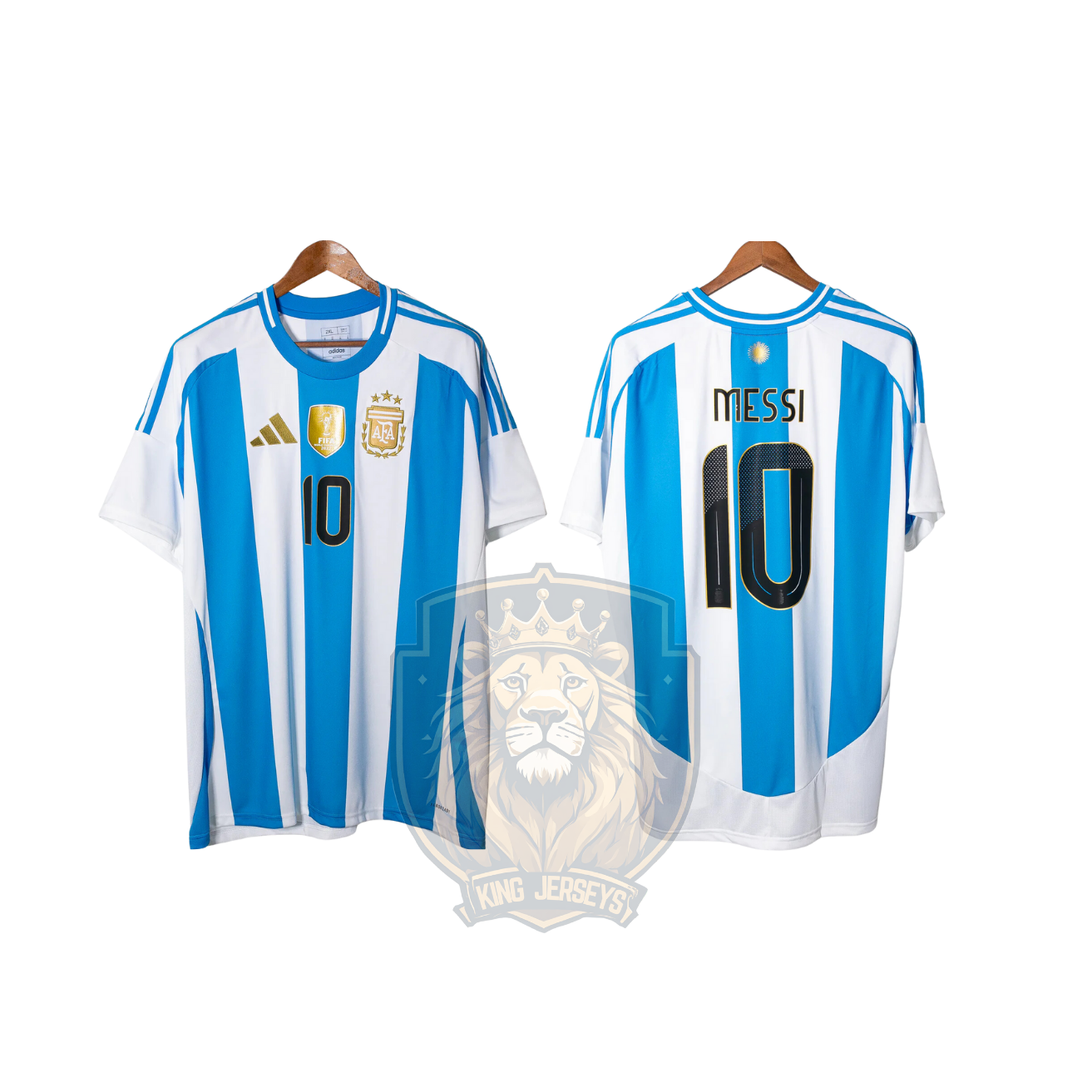 Argentina 2024 local aficionado